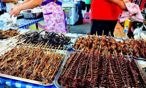 世界各地奇葩食物排名,世界奇葩美食视频