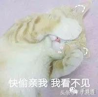 沙雕又可怕的手办,猫和老鼠沙雕瞬间手办神还原