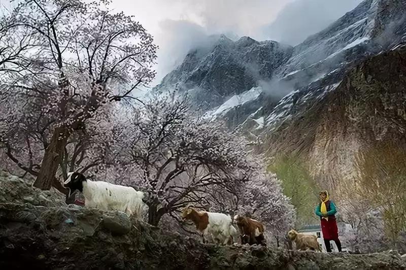 跟着玄奘西行,跟着唐僧去旅行观感和收获