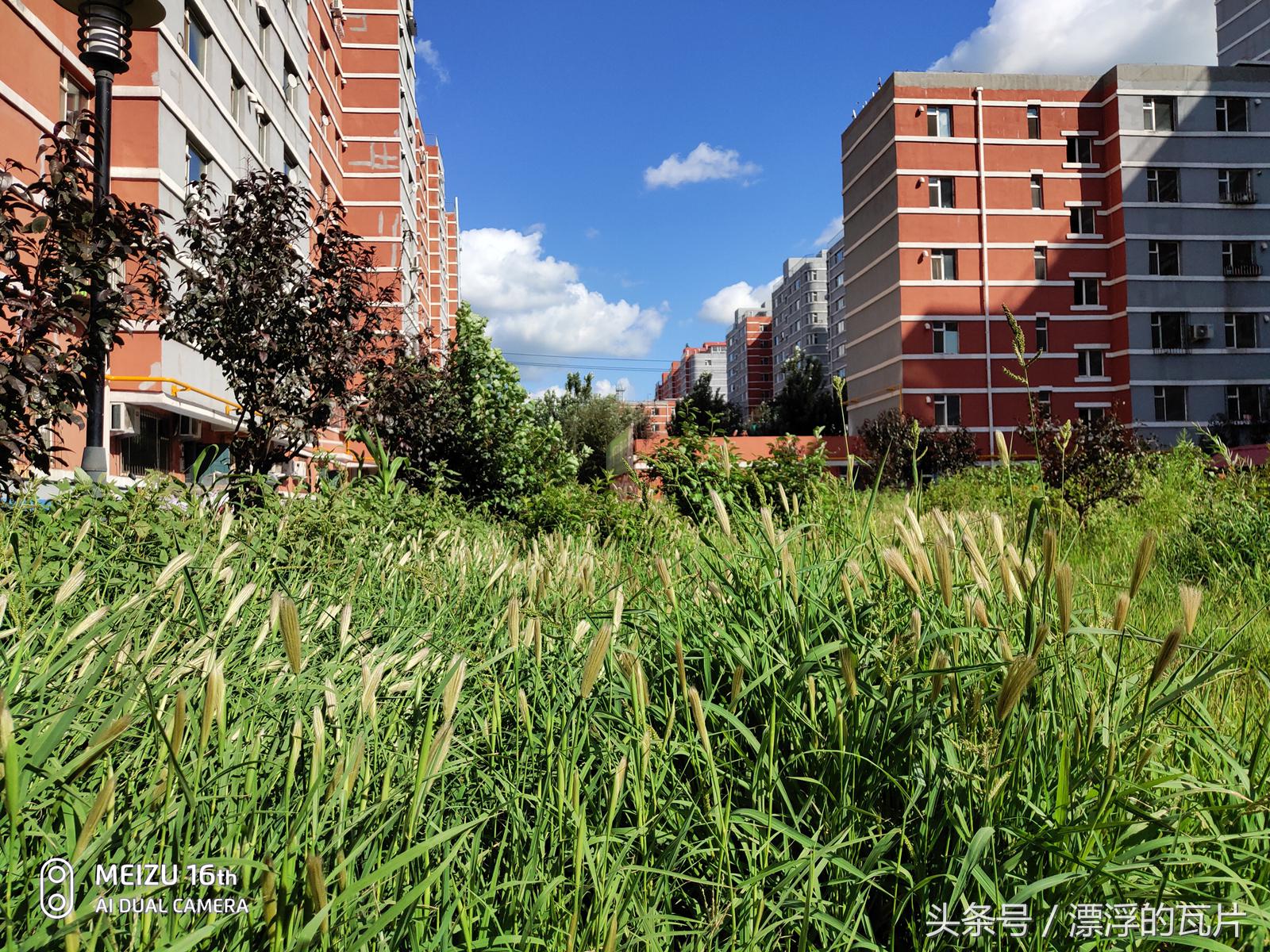 魅族16spro评测,魅族16评测蓝色字体