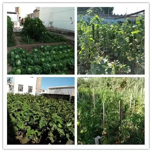 我们都要好好的努力工作享受生活,为了生活他们都在努力工作