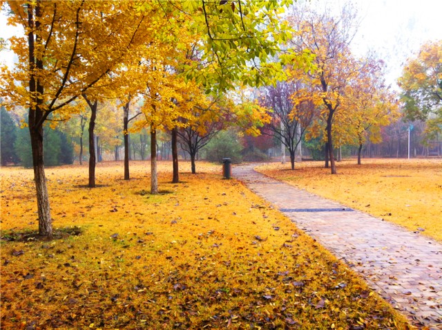 中秋国庆旅游怎么玩的,济南中秋国庆自驾游好去处