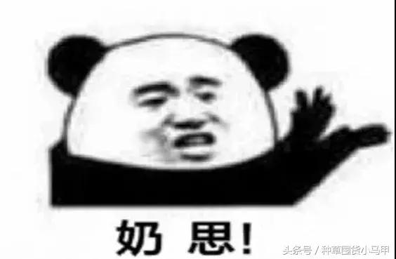 旗舰店买的mac一定是真的吗,二十几的mac真的假的