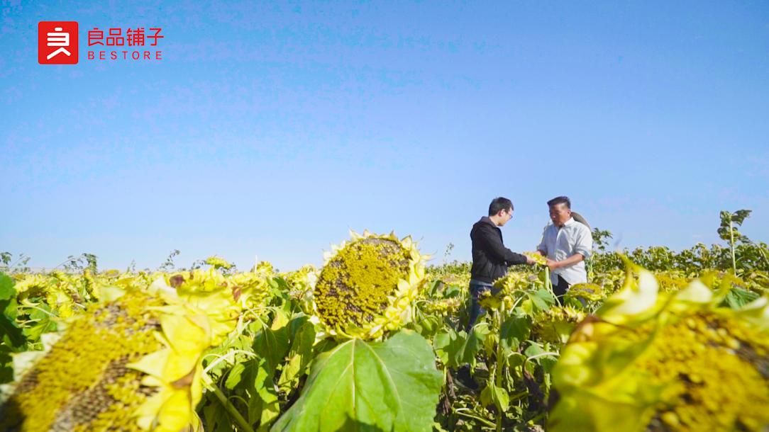 良品铺子发展能力分析,一粒瓜子的质量