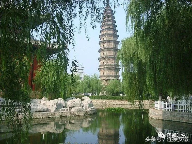 亳州市十八岁的照片,安徽亳州地级市排行