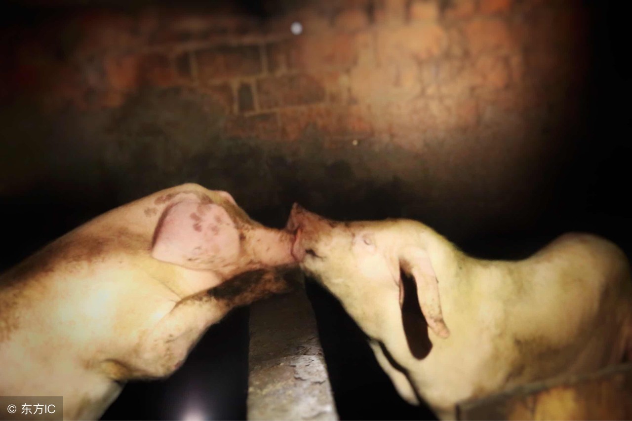 这6种病不能治愈,皮肤有类似出血的小红点是什么病