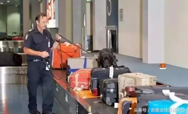 过海关英语,过海关英语问题