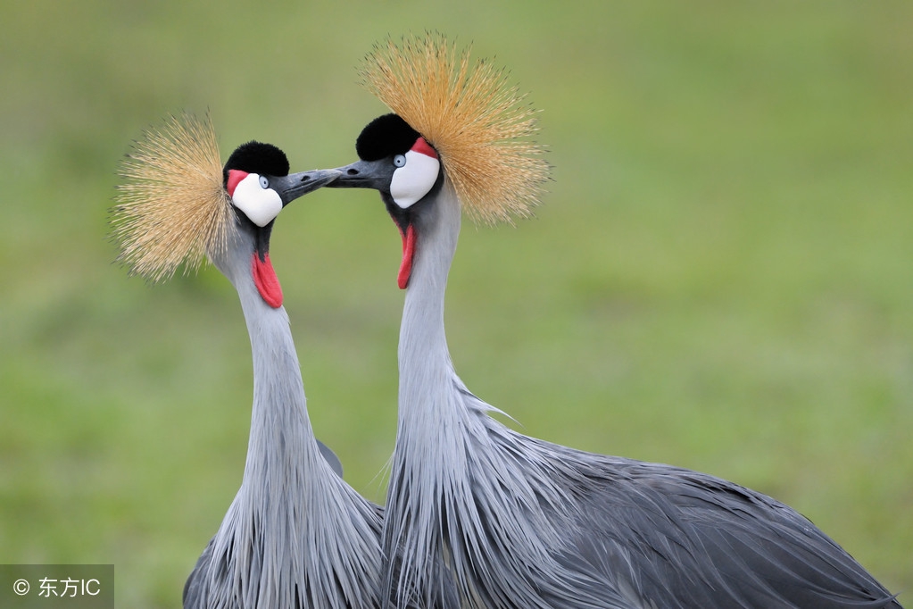 歇后语大全六年级全册,歇后语作文必背100个