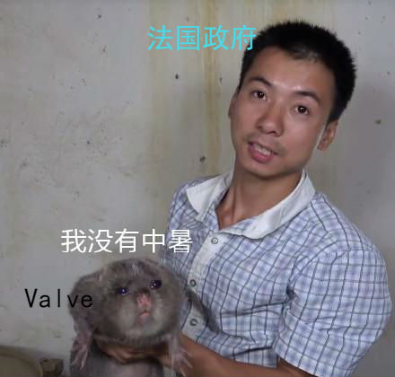 g胖创立v社和steam,g胖回应steam