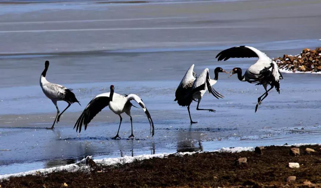 大美云南写真,大美云南山水