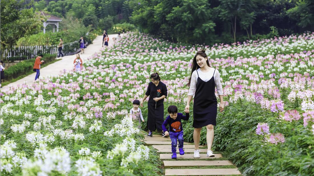 920就爱你自己，成都漫花千人广场舞展演启动