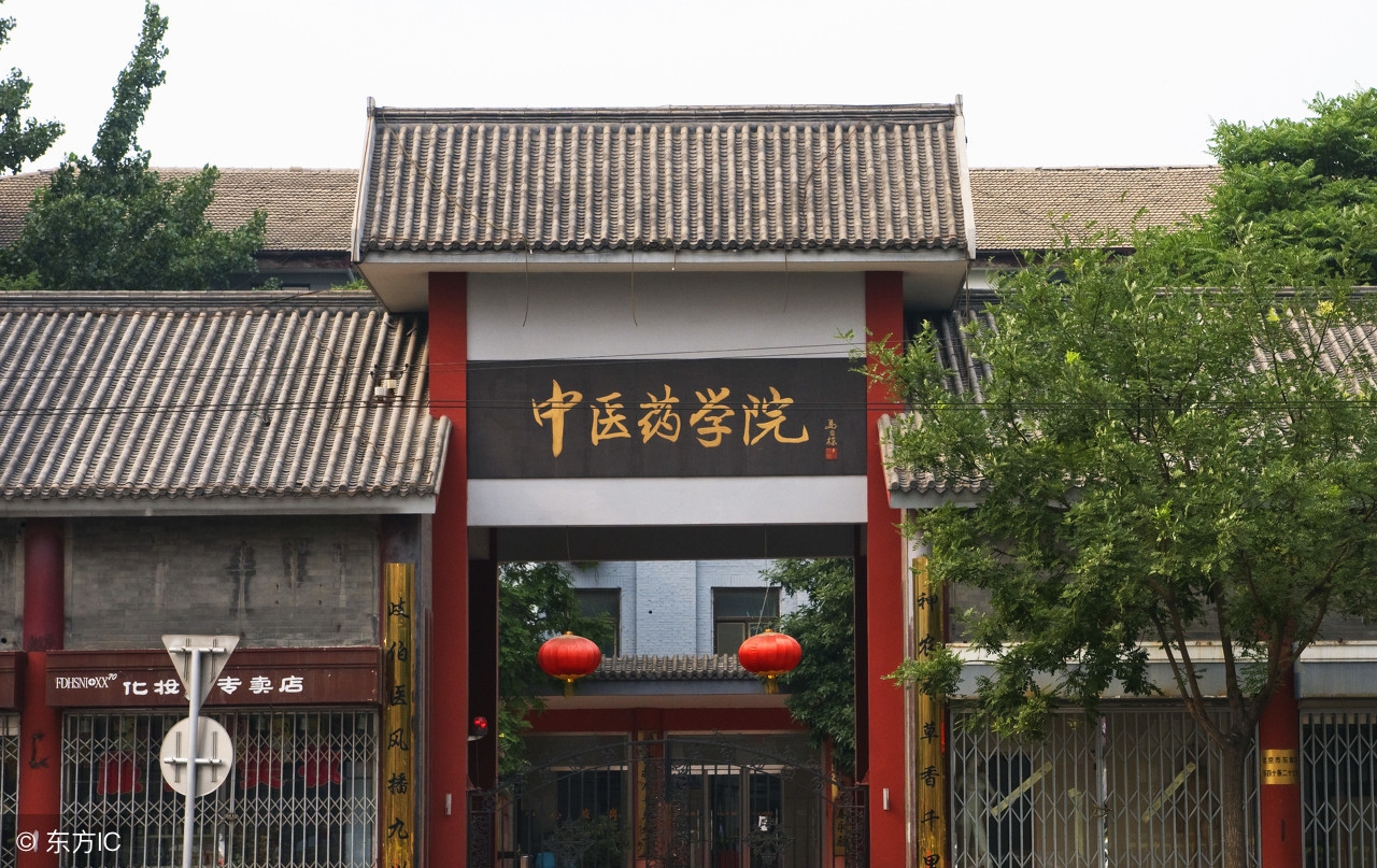 中医推拿按摩经络技法大全,学习中医养生推拿按摩