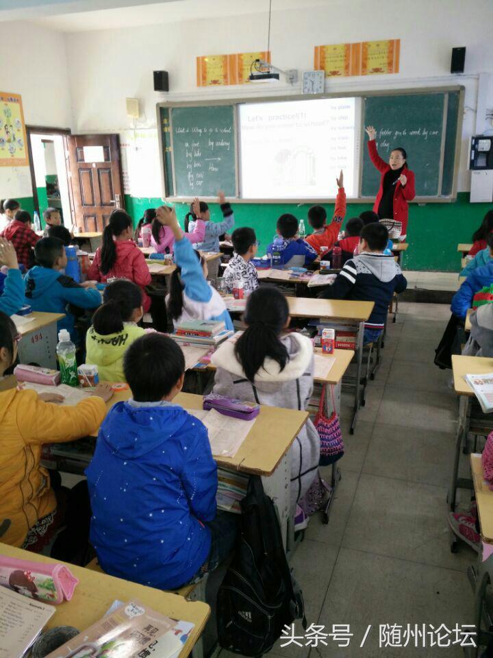 生态教育促成长浓墨重彩绘华章——记阔步前进中的洪山镇中心学校