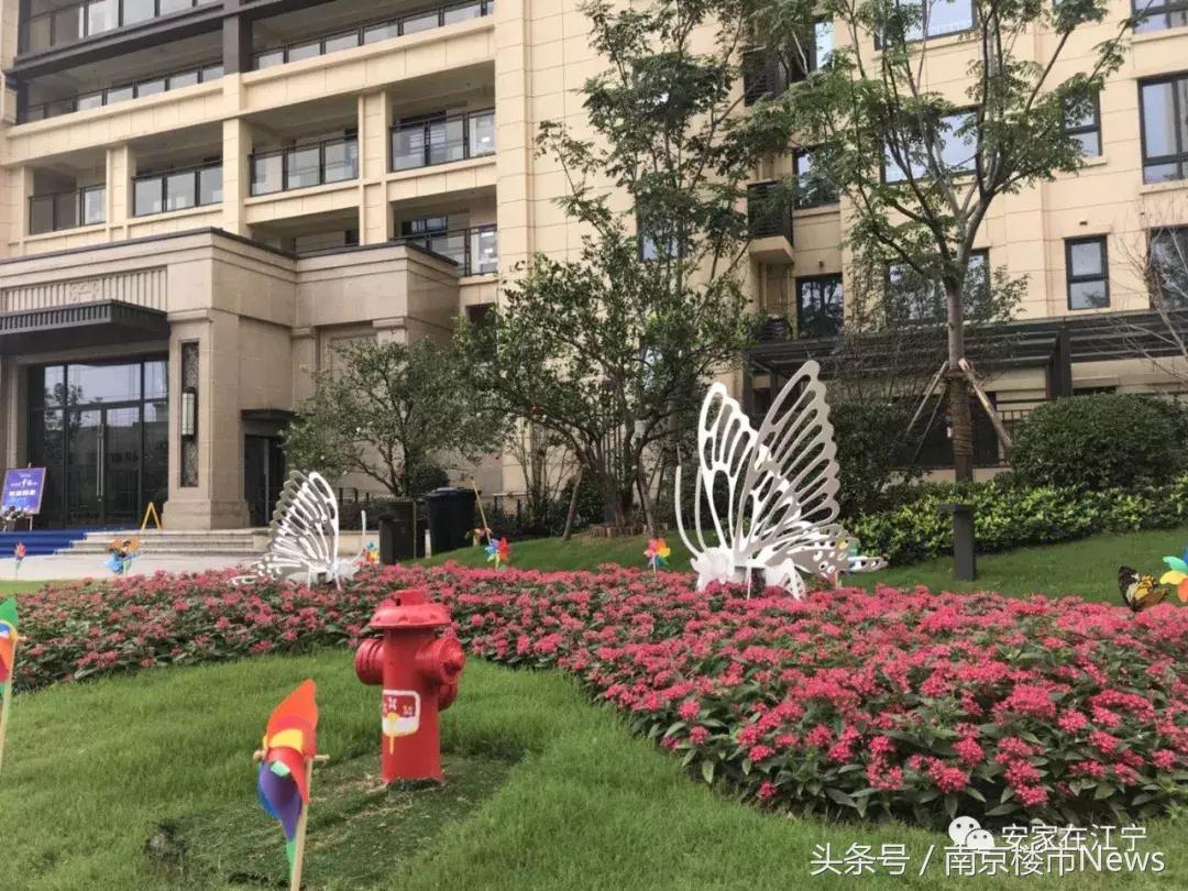 江宁最新房价一览,江宁楼市最新房价走势