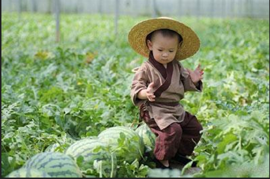 上幼儿园后，不要给孩子穿这四种衣服，老师反感，孩子遭罪