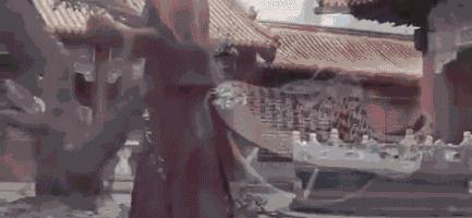 家暴炫富后，他又被粉丝教做人，这是今日份的快乐源泉！