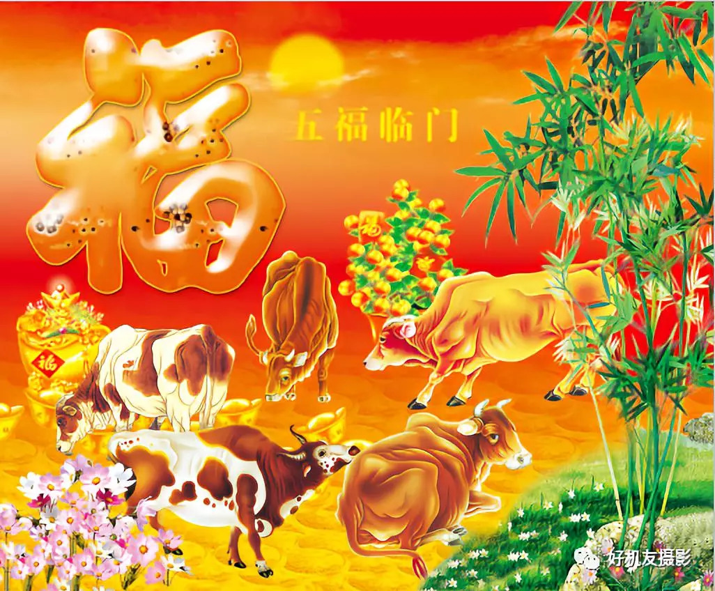 「PSCC2018学习连载22」——3种图层样式编辑方法，让你后期处理更得心应手！