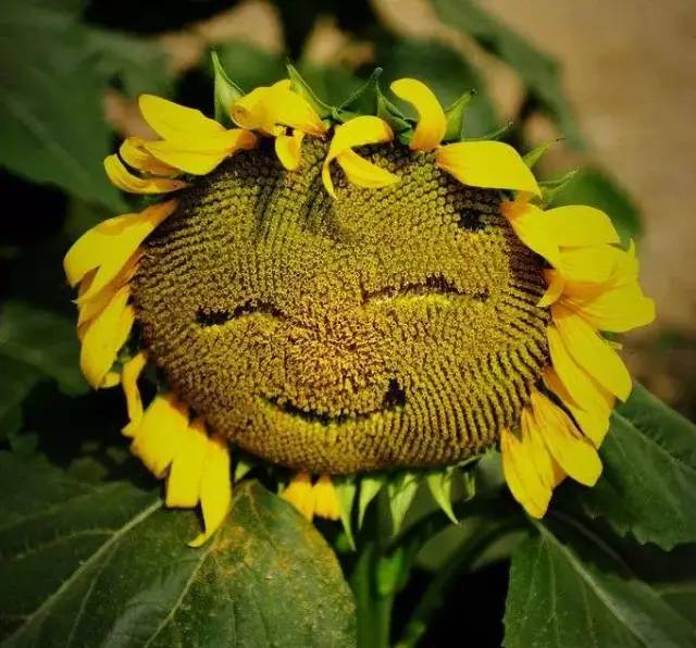 这条微信与每个人都有关，你应该看一下