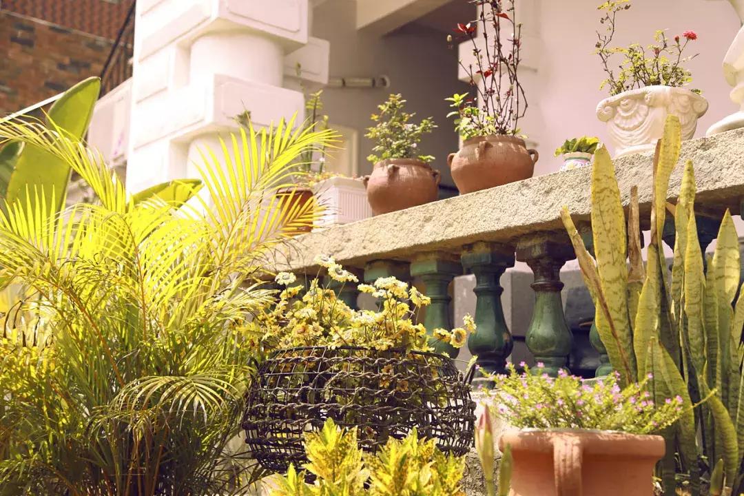 鼓浪屿旅拍全攻略,厦门鼓浪屿吃喝玩乐拍照全攻略