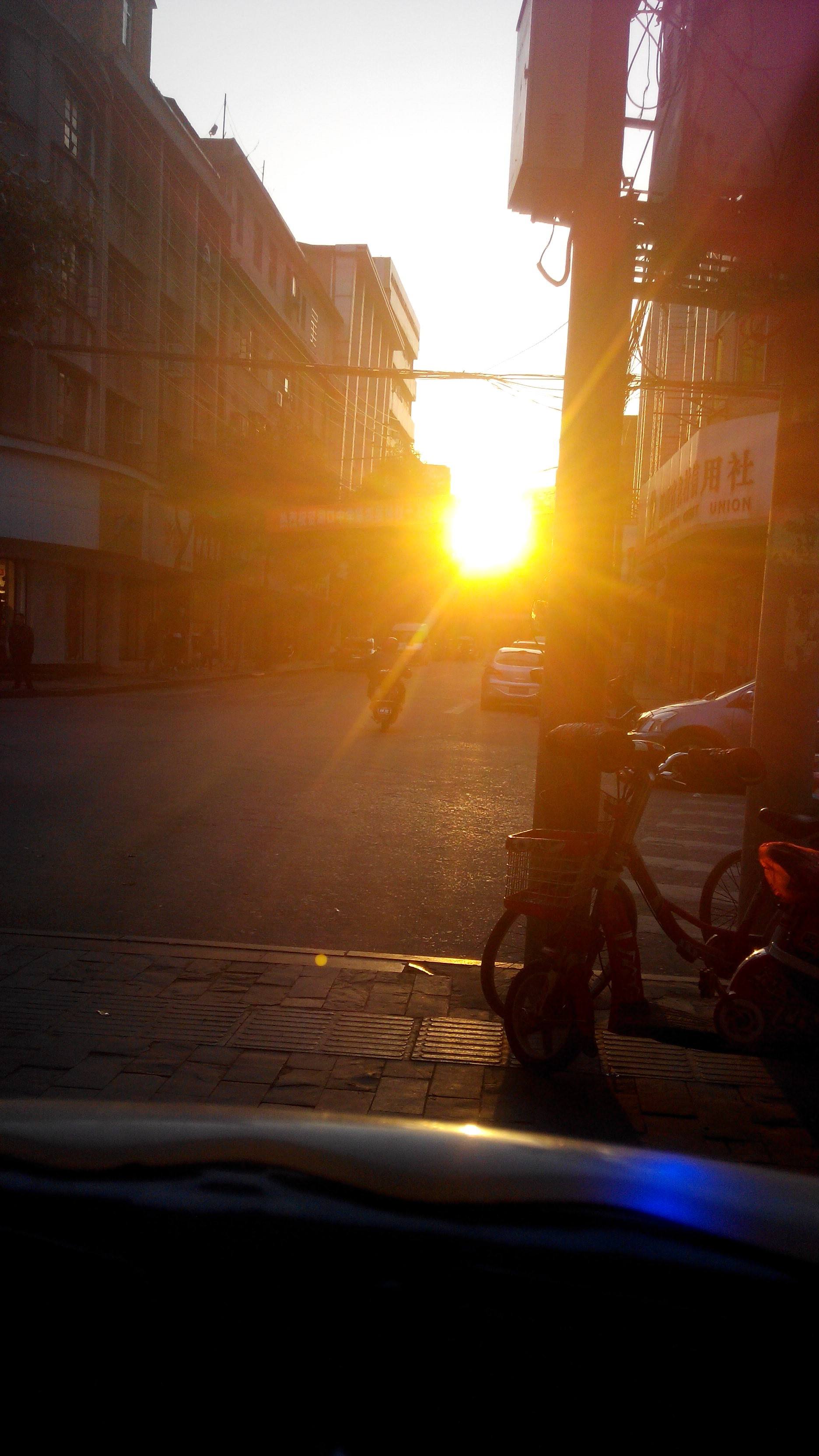 人为什么要早起答案关乎着生命,为什么要早起这是最好的答案