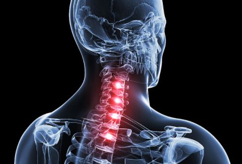 枕头里放它可缓解颈椎疼痛颈椎不好的都可以试一试