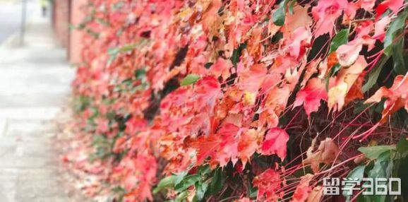 澳洲留学买机票是用护照买吗,留学生飞澳洲怎么买机票便宜