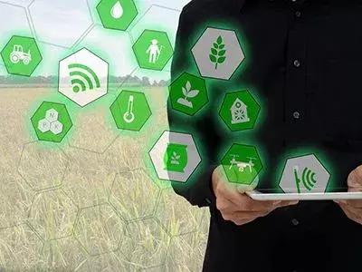 互联网和农业未来的机会在哪里,农业互联网的血泪史