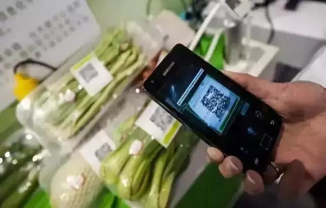 互联网和农业未来的机会在哪里,农业互联网的血泪史