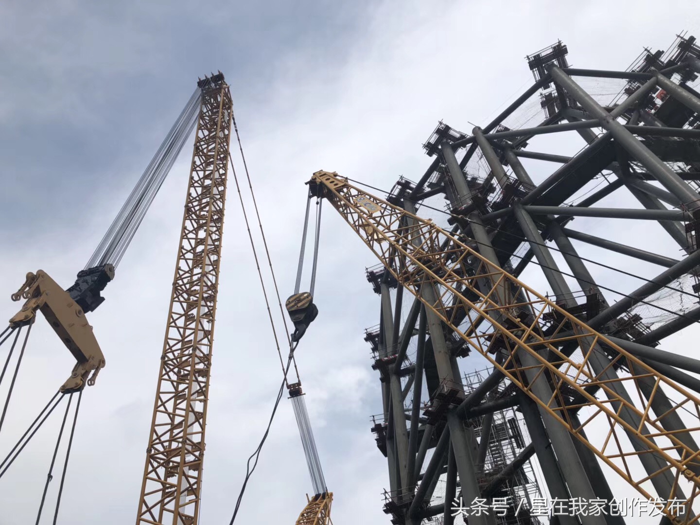 寇志强项目团队又上电视新闻了：问鼎全国BIM大赛一等奖