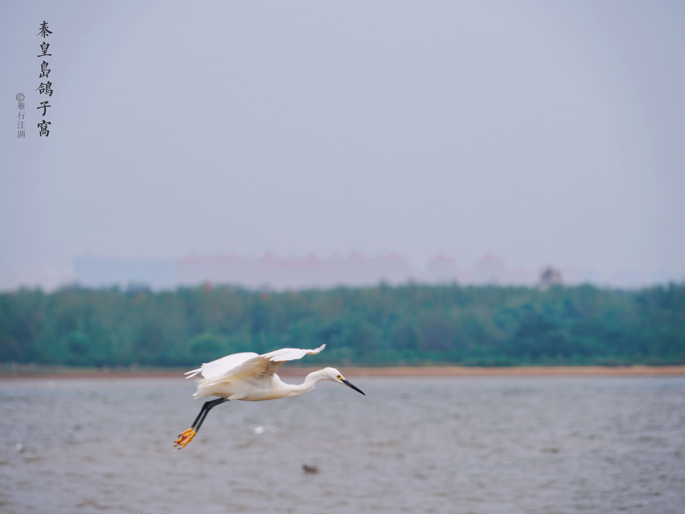 秦皇岛鸽子窝看日出攻略,秦皇岛动物园到鸽子窝
