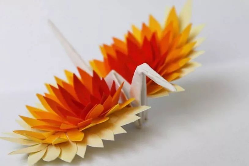 每天折一个千纸鹤,每天折一只纸鹤