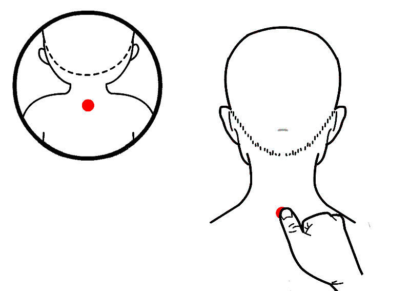 夏季养阳穴位,大人恶寒按摩什么穴位