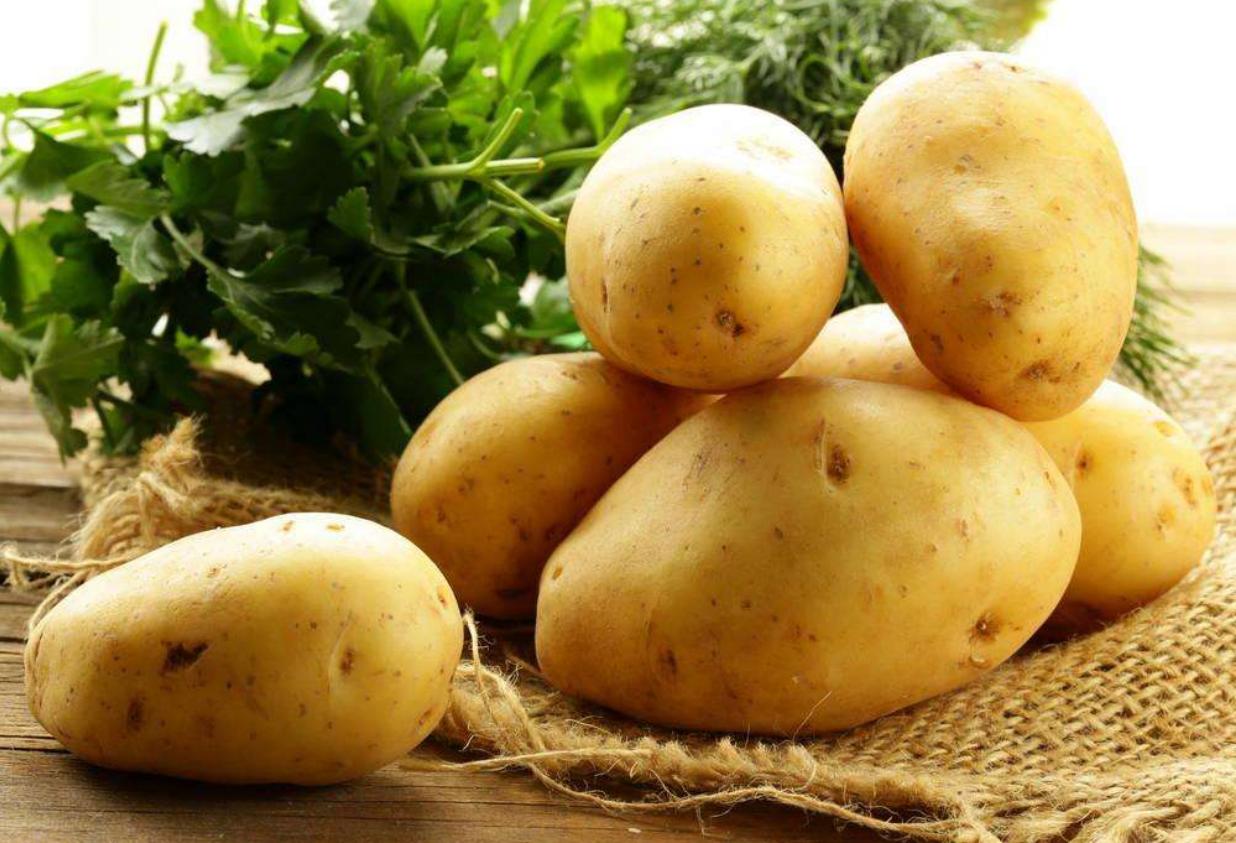 最好吃的土豆马铃薯,爱吃土豆的一定要收藏