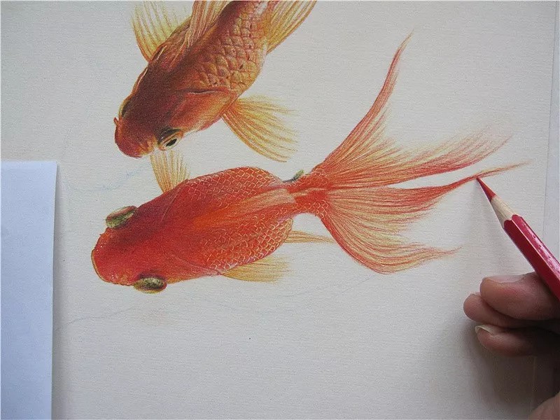 拥有800万超高人气，看看这位大神，是如何用水溶彩……