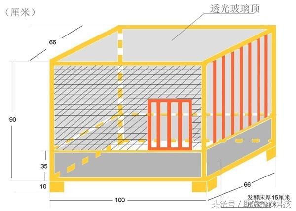 阳台养鸡发酵床注意事项,夏天阳台养鸡用发酵床养鸡可以吗
