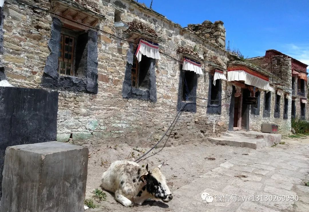 甘丹寺一日游详细攻略,甘丹寺旅行