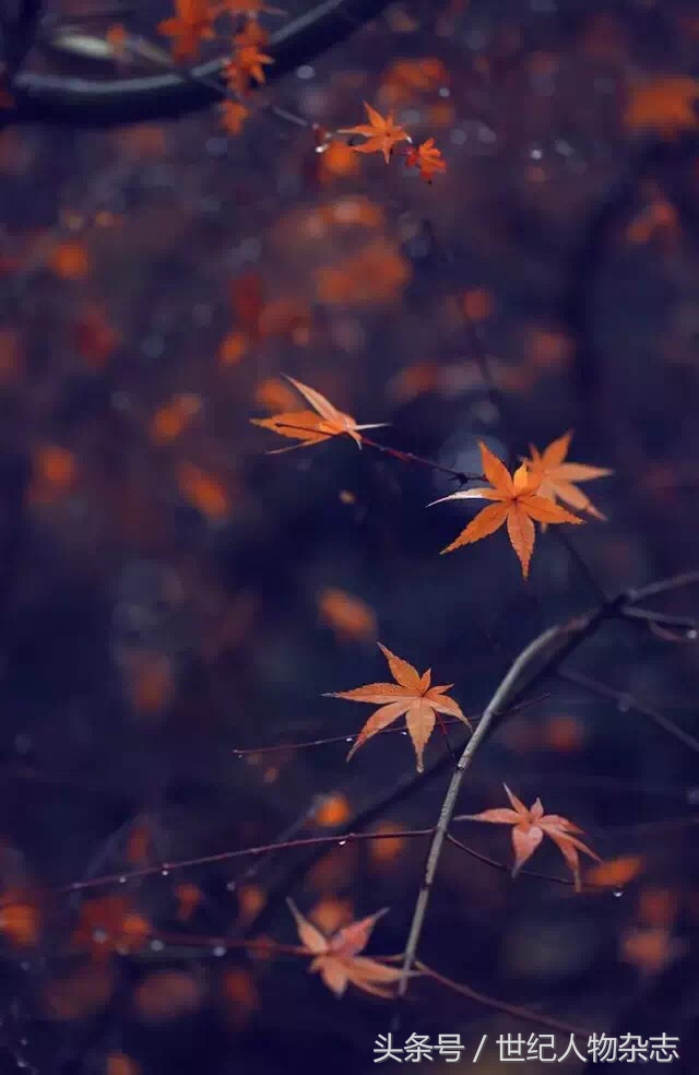 绉嬪垎璁╀汉闅惧彈,绉嬪垎蹇冮唹