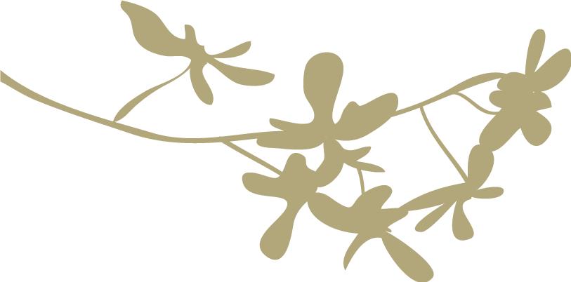 游玩七彩丹霞地貌发朋友圈,华州少华山旅游视频