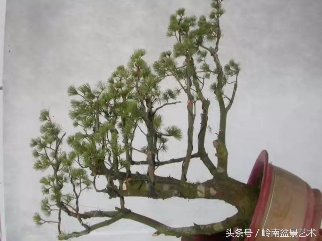 神来之笔绘画作品欣赏,神来之笔书法作品大全