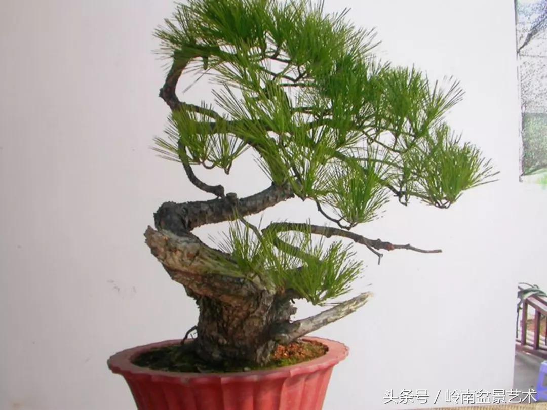 神来之笔绘画作品欣赏,神来之笔书法作品大全