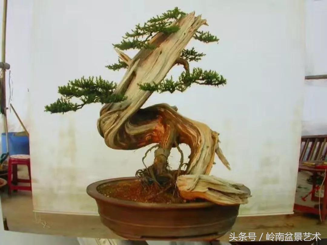 神来之笔绘画作品欣赏,神来之笔书法作品大全