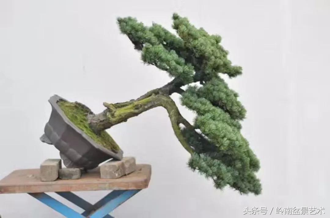 神来之笔绘画作品欣赏,神来之笔书法作品大全