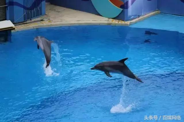 桂林高铁直达香港10月,桂林高铁至香港