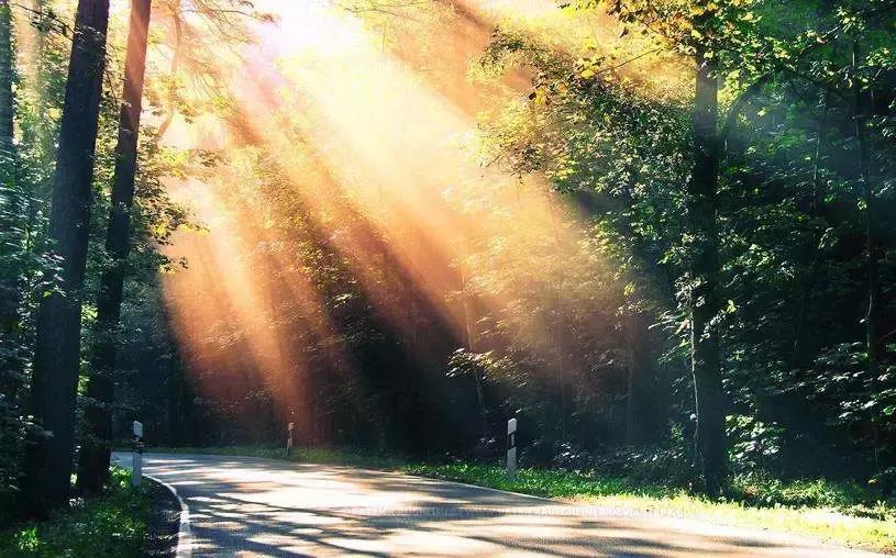 小说沉默的羔羊完整版,沉默的羔羊郑智化完整版