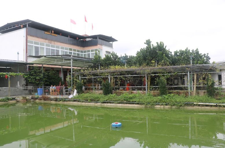 最好看的紫薇花美景,初秋靓丽的紫薇花