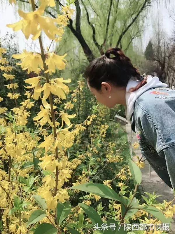 西安被遗忘的公园,西安被人遗忘的公园