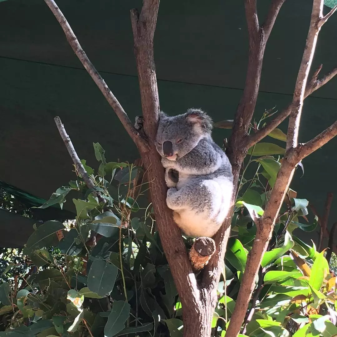 “有钱人的快乐你们想象不到！”这位日本亿万富豪，将……