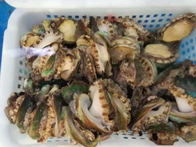 海南吃喝玩乐全攻略海口美食篇,海口旅游攻略美食路线推荐