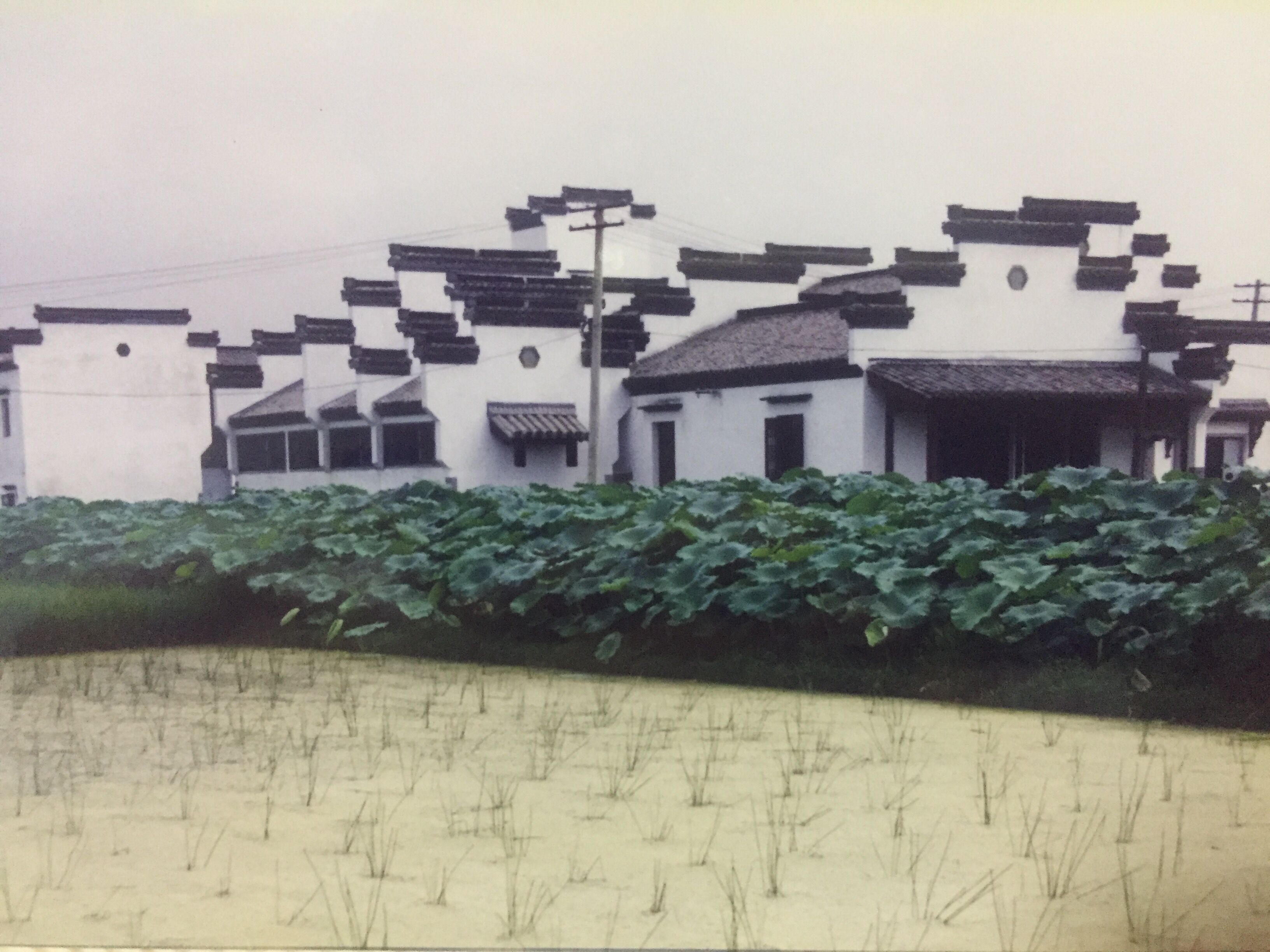 我走过的古镇完整版,福建古城古镇古村落