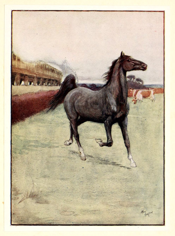 銆婇粦楠忛┈銆嬪畨濞溌峰缁村皵鍒涗綔鑳屾櫙,榛戦獜椹畨濞滃缁村皵鏁呬簨姊楁